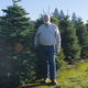 Great Big Story: Harvesting Christmas Trees (Screenshot: YouTube)